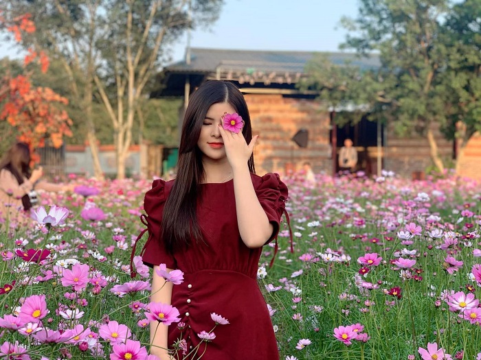 phim trươn wonderland